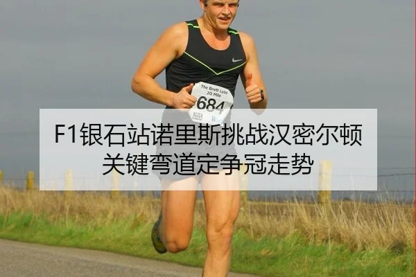 yin-shi-zhan-nuo-li-si-tiao-zhan-han-mi-er-dun-guan-jian-wan-dao-ding-zheng-guan-zou-shi-2-844.jpg